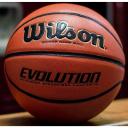 Wilson Evolution Emea Basketball