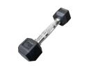 Hex Dumbbell 1kg - Single