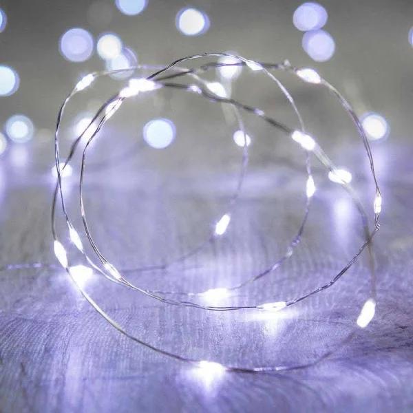 Lexi Lighting Christmas Battery Operated 40 Micro Led String Light with Timer White