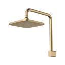 Caroma Luna Fixed Overhead Shower Brushed Brass - 90391BB4E