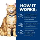 Hill's Prescription Diet C/D Multicare Urinary Care Wet Cat Food 156g