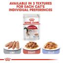 Royal Canin Instinctive Loaf 85g Wet Cat Food