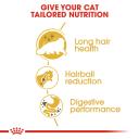 Royal Canin Cat Food Persian (10 kg)