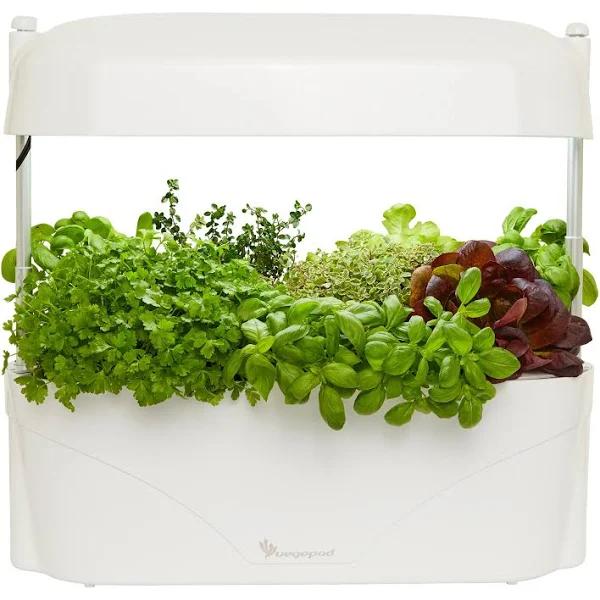 Vegepod Australia Kitchen Garden White