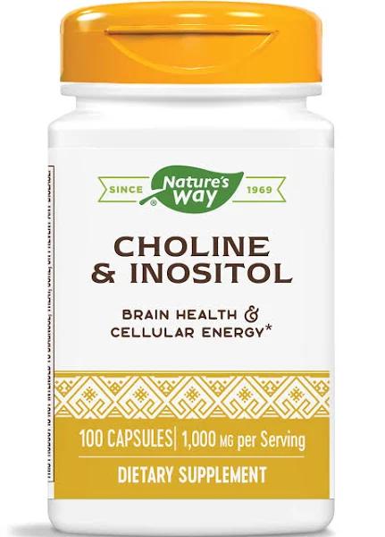 Nature's Way Choline & Inositol 500 MG 100 Capsules