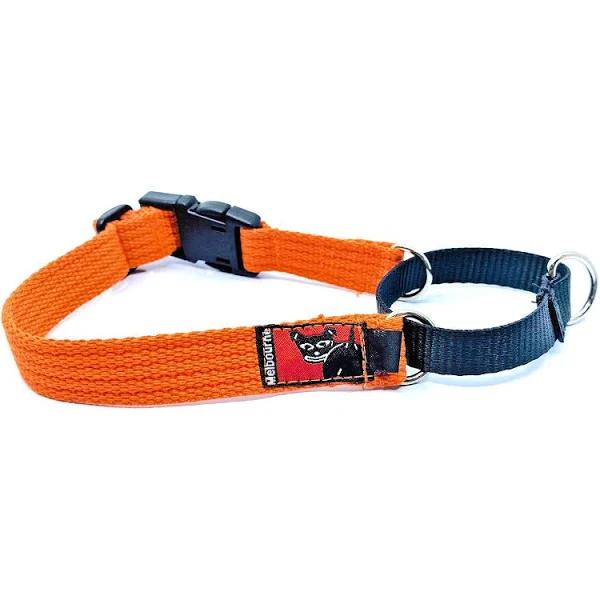 Black Dog Wear Training Collar Small / Orange