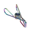 Rainbow Stainless Steel Infinity Clothes Pegs 20 Pack