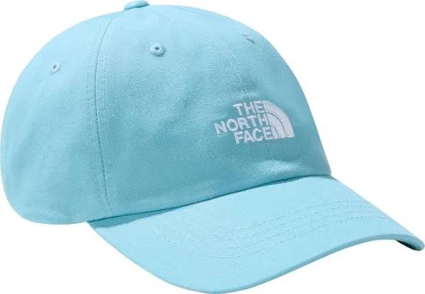 The North Face Norm Cap in Blue