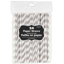 Paper Straws 24 Pack - Kiwi Green