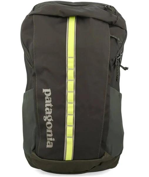 Patagonia Black Hole 25L Backpack - Green