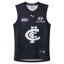 Carlton Football Club 2024 Replica Home Guernsey - Youth 8-16 Years in Dark Navy/White/Cfc, Size Medium by Puma