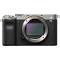 Sony A7C II Mirrorless Camera (Silver)