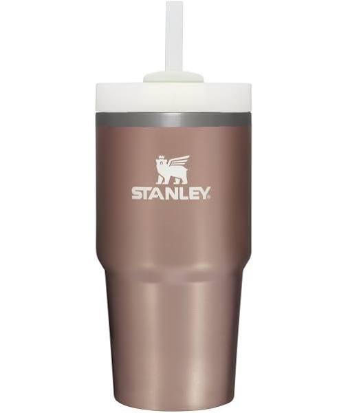 Stanley Quencher H2.0 FlowState Stainless Steel Vacuum Insulated Tumbler With Lid and Straw For Water, Iced Tea or Coffee, Smoothie and More 20oz -