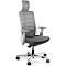 Desky Pro Ergonomic Chair with Headrest - White