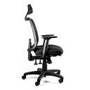 Desky Ace Ergonomic Chair