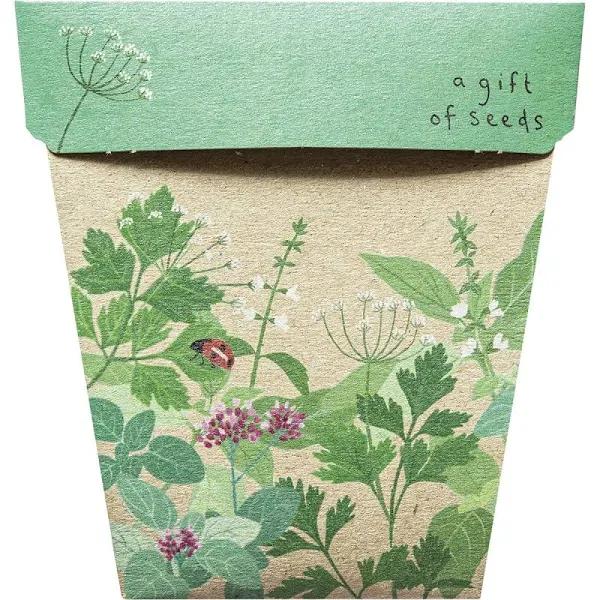 Sow 'n Sow Garden Herbs Gift of Seeds