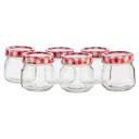 Mason Preserving Jars 250ml (Set of 6)