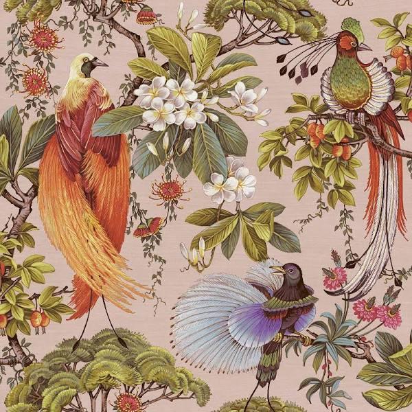 Holden Decor Outside in Songbird Wallpaper Pink Holden 13152