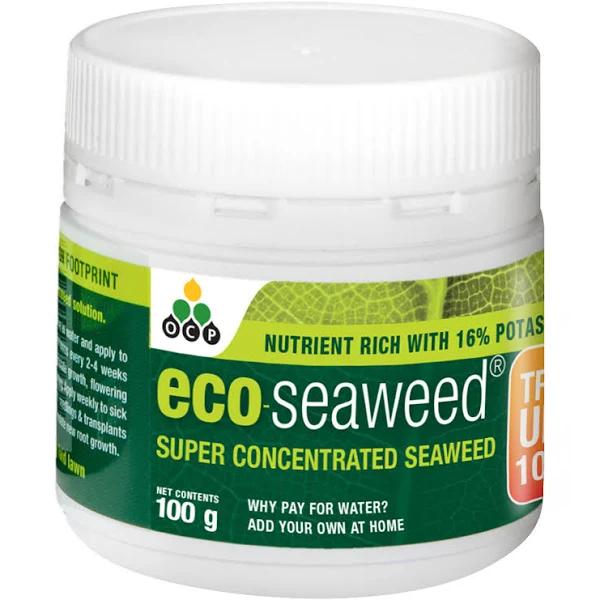 OCP Eco-Seaweed 100g