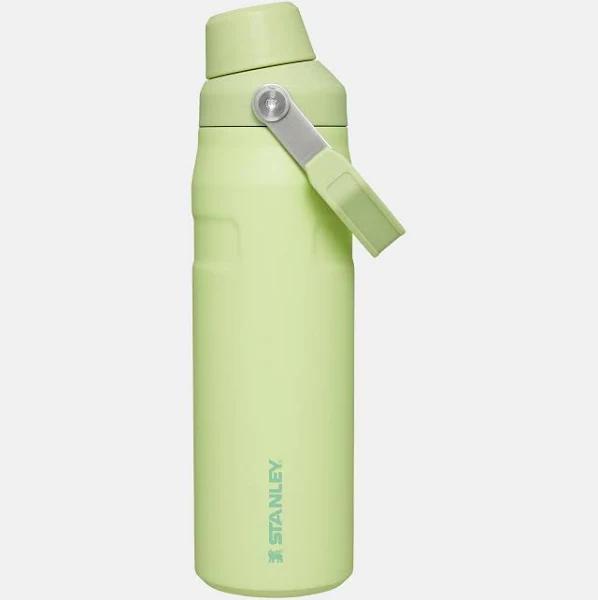 David Jones Stanley Aerolight Bottle 24oz in Citron, Size 700ml