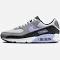 Nike Air Max 90 Light Thistle Photon Dust/Cool Grey/Light Thistle