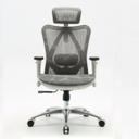 Sihoo M57 Ergonomic Office Chair, Computer Chair Desk Chair High Back Chair Breathable,3D Armrest and Lumbar Support