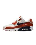 Nike Air Max 90 Essential - Mars Stone