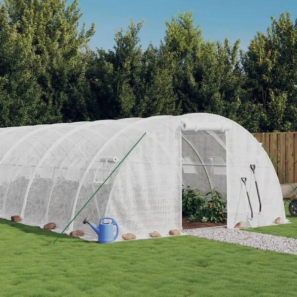 Greenhouse with Steel Frame White 48 m² 12x4x2 M