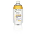 Garnier Micellar Oil Infused Water (400ml)