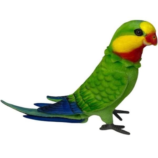 Superb Parrot Poseable Hansa