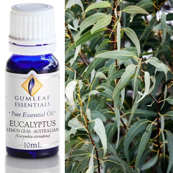 Eucalyptus Lemon Gum Pure Essential Oil