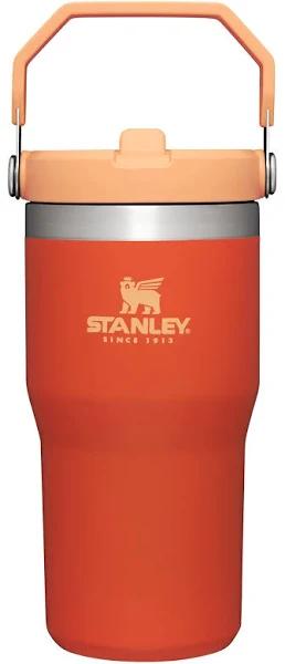 Stanley IceFlow Stainless Steel Tumbler With Straw - Vacuum Insulated Water Bottle For Home, Office or Car - Reusable Cup With Straw Leakproof Flip