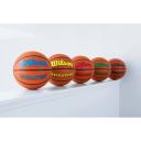 Wilson Evolution Game Basketball