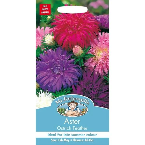 Mr Fothergill's Californian Giant Aster Flower Seeds