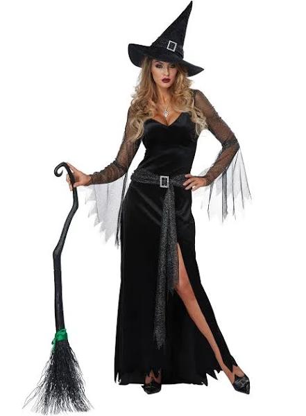 Rich Witch Womens Costume