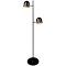 LEDlux Blakely Led Dimmable 2 Light Floor Lamp in Black