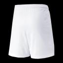 Puma Boys Liga Shorts White S