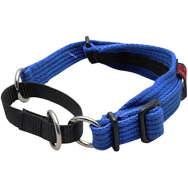 Black Dog Wear Whippet Collar, Blue