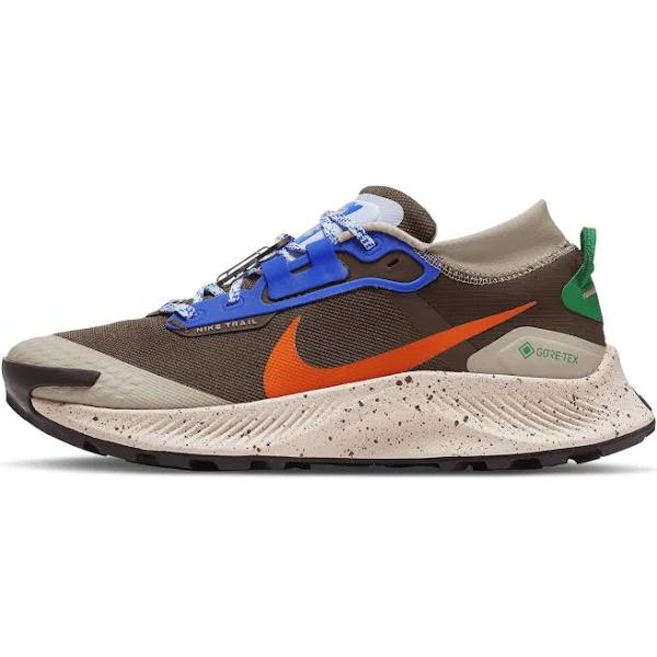 Nike Pegasus Trail 3 GTX ES