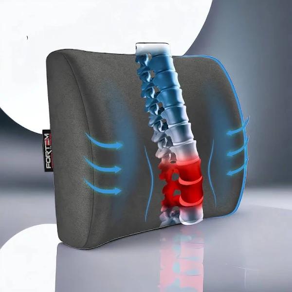 FORTEM Lumbar Cushion, Back Cushion, Lumbar Support Car, Back Support for Gaming Chair, Memory Foam Back Cushion, Cushion for Desk Chair, Breathable