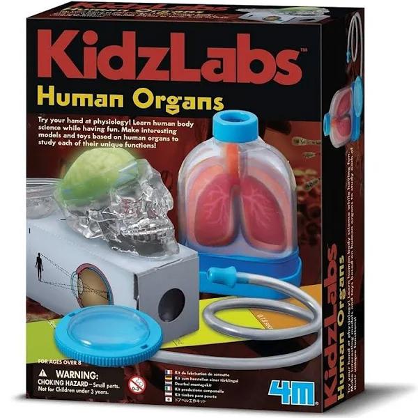 Kidz Labs Human Organs