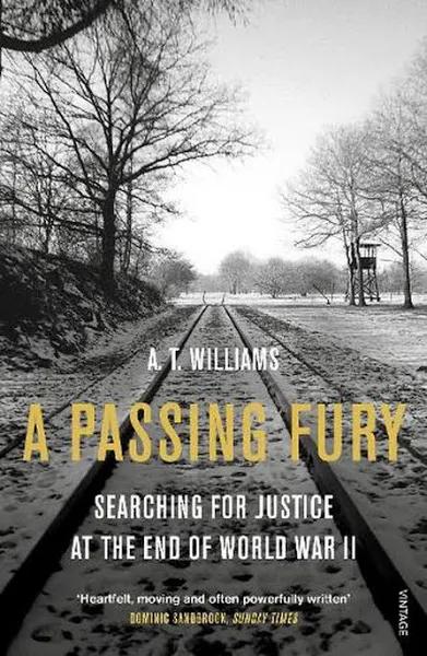 Passing Fury by A. T. Williams