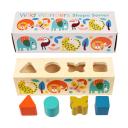 Rex Wild Wonders Wooden Shape Sorter