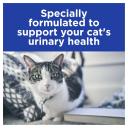 Hills Prescription Diet Cat C/D Multicare Urinary Care Chicken Wet Food Pouches 85g x 12