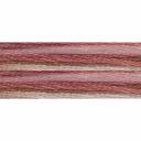 DMC Color Variations 4050 Roaming Pastures Embroidery Floss