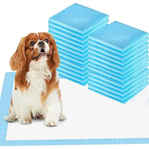 400 x Pets Antibacterial Training Pads 56x56cm Dog Puppy Cat Toilet Training Pad Biodegradable