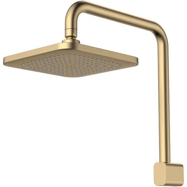 Caroma Luna Fixed Overhead Shower Brushed Brass - 90391BB4E