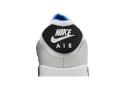 Nike Air Max 90 White Game Royal Photon Dust