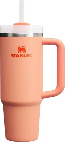 Stanley Quencher H2.O Flowstate Tumbler 30 oz Nectarine