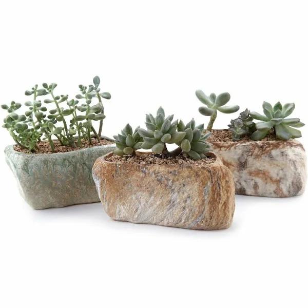 T4U 13.5cm Distinctive Stone Shape Succulent Cactus Plant Pots Flower Pots Planters Containers Window Boxes with Small Hole Set of 3